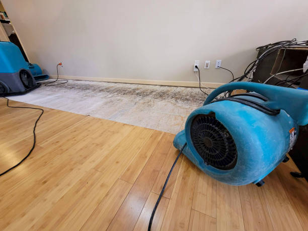 Professional Water Damage Repair technician working in Lebanon, IN